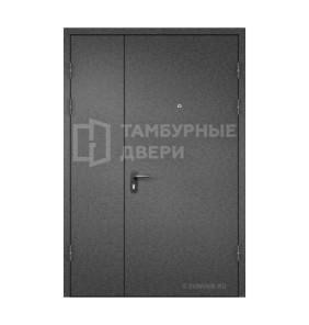 Дверь тамбурная глухая в коридор порошок — скелет ТД-245